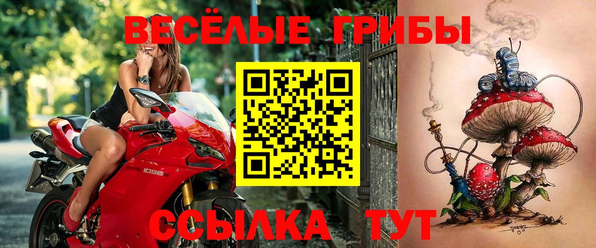 Галлюциногенные грибы GOLDEN TEACHER Карталы